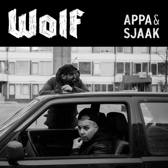 Top 10 Top 10 rap muziek albums: Wolf
