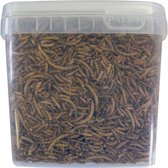 Top 10 Top 10 beste binnen vogelvoer (2021): Gedroogde Meelwormen 2.5 L Voordeelverpakking